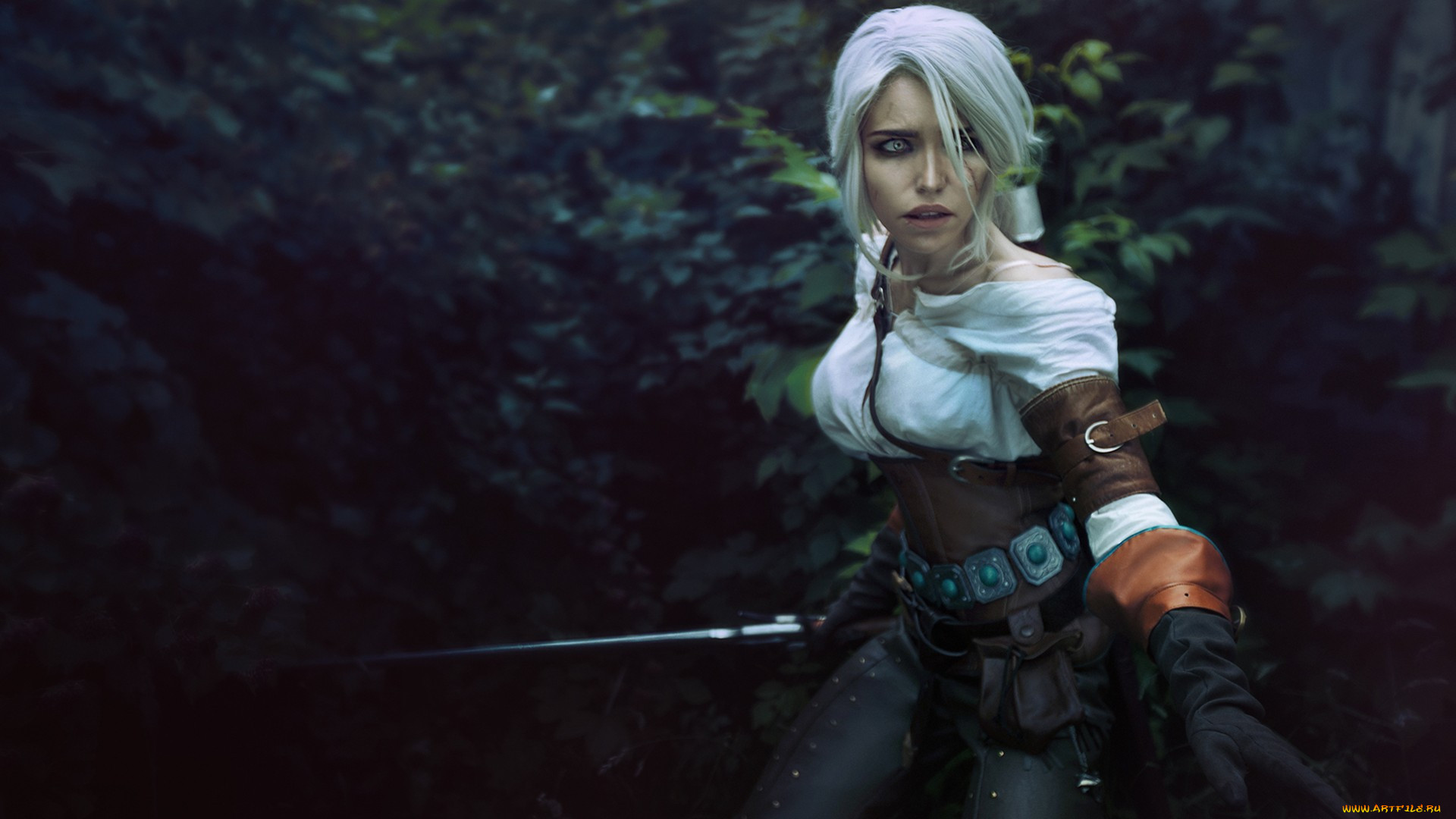 the witcher 3,  wild hunt,  , 